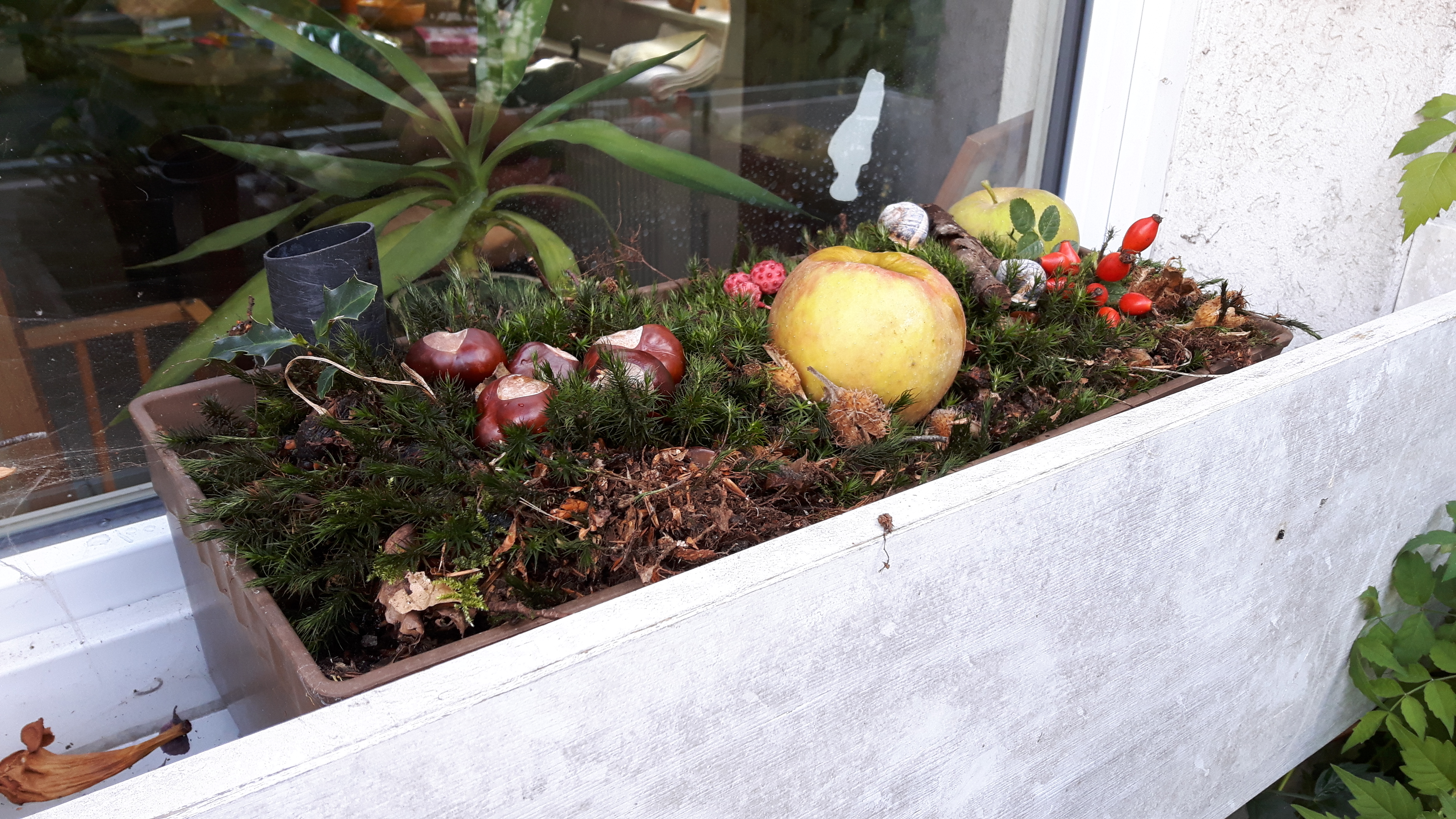 blumenkasten europaletten Blumenkasten für Europalette Pflanzkasten Zink 38 cm – UNUS
